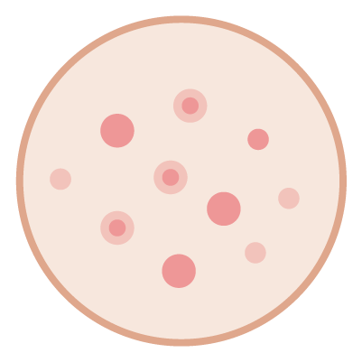 icon12 147x147